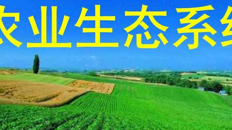 南方草莓种植基地排名解析：揭秘优质基地的评选标准