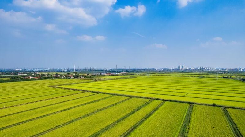 智慧农业种植系统：揭秘其规格型号与选型逻辑