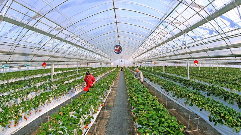 粮食种植需要哪些证件