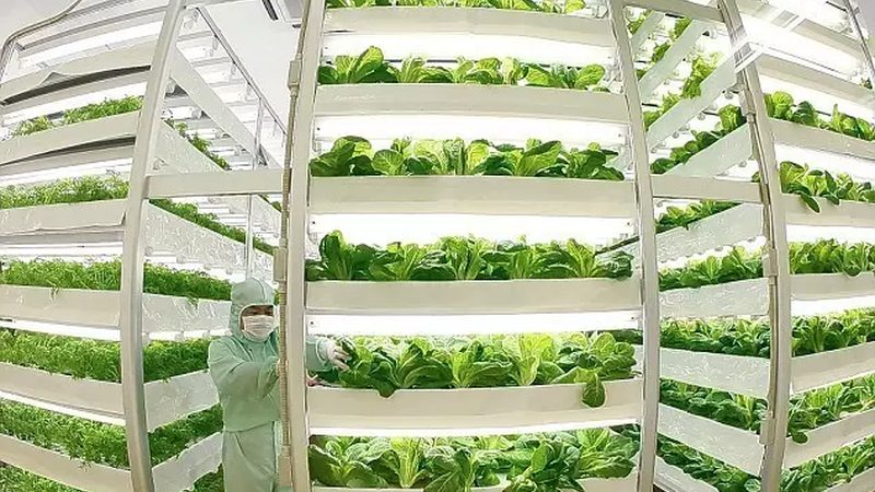 小型农业种植机械：如何选择最适合的型号