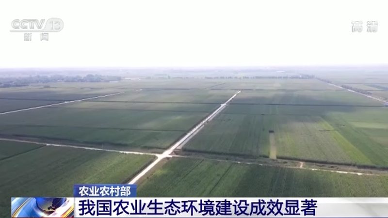 上海进口农产品批发市场：渠道选择背后的考量因素