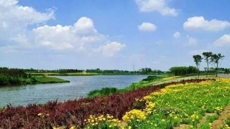 蔬菜大棚保温被定制：揭秘其选材与保温原理