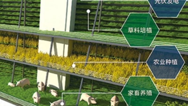 农业产业园旅游盈利模式的创新之道**