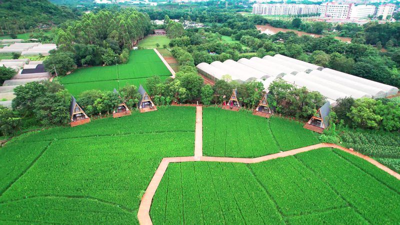 种植养殖结合：优势与挑战并存