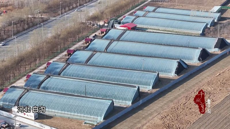 农资短视频获客，别被流量思维带偏