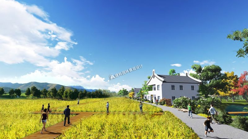 粮食种植土壤检测：标准与重要性