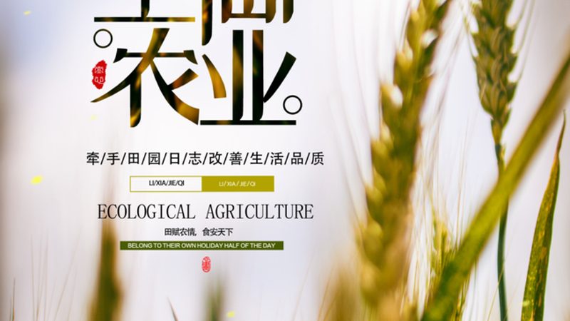 农产品供应链金融成本解析：揭秘成本构成与优化策略